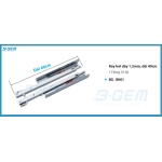 RAY HƠI INOX304 CAO CẤP DÀY 1.2MM DÀI 40CM B-GEM BG-RH01