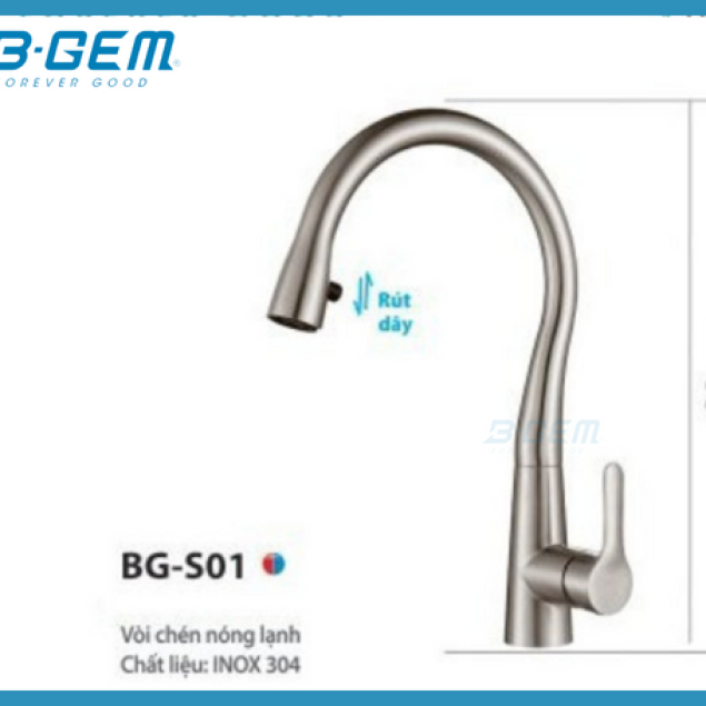 VÒI CHÉN SUS304 INOX MỜ DÁNG CỔ ĐIỂN B-GEM BG-S01